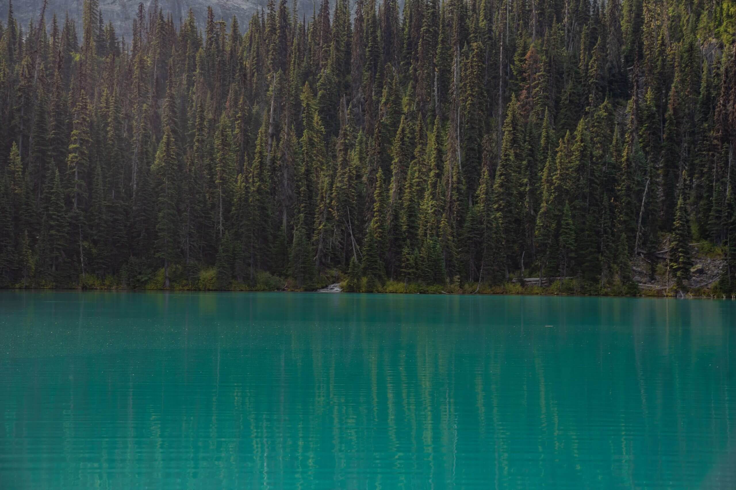 Extreme long shot of Joffre Lakes Trail with turquoise water and forest in multiple shades of green in British Columbia