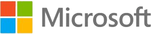 Microsoft logo in grey font text with multicolored icon